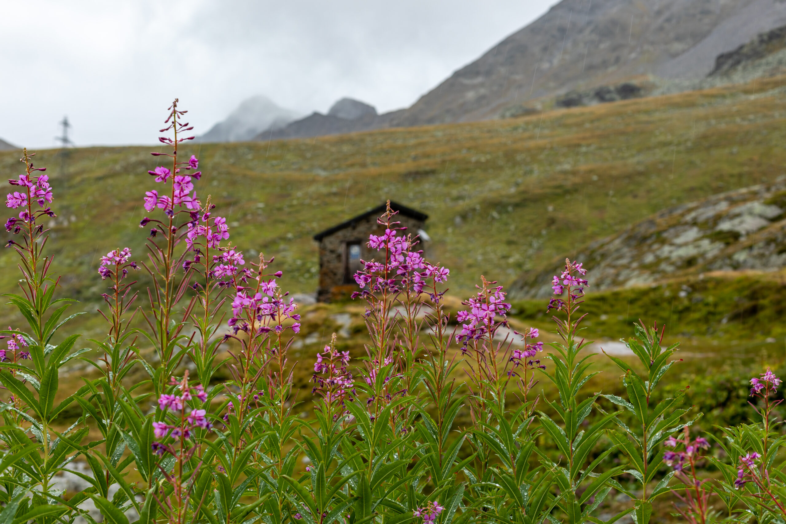 Around Mont Blanc by Camille Massida Photography