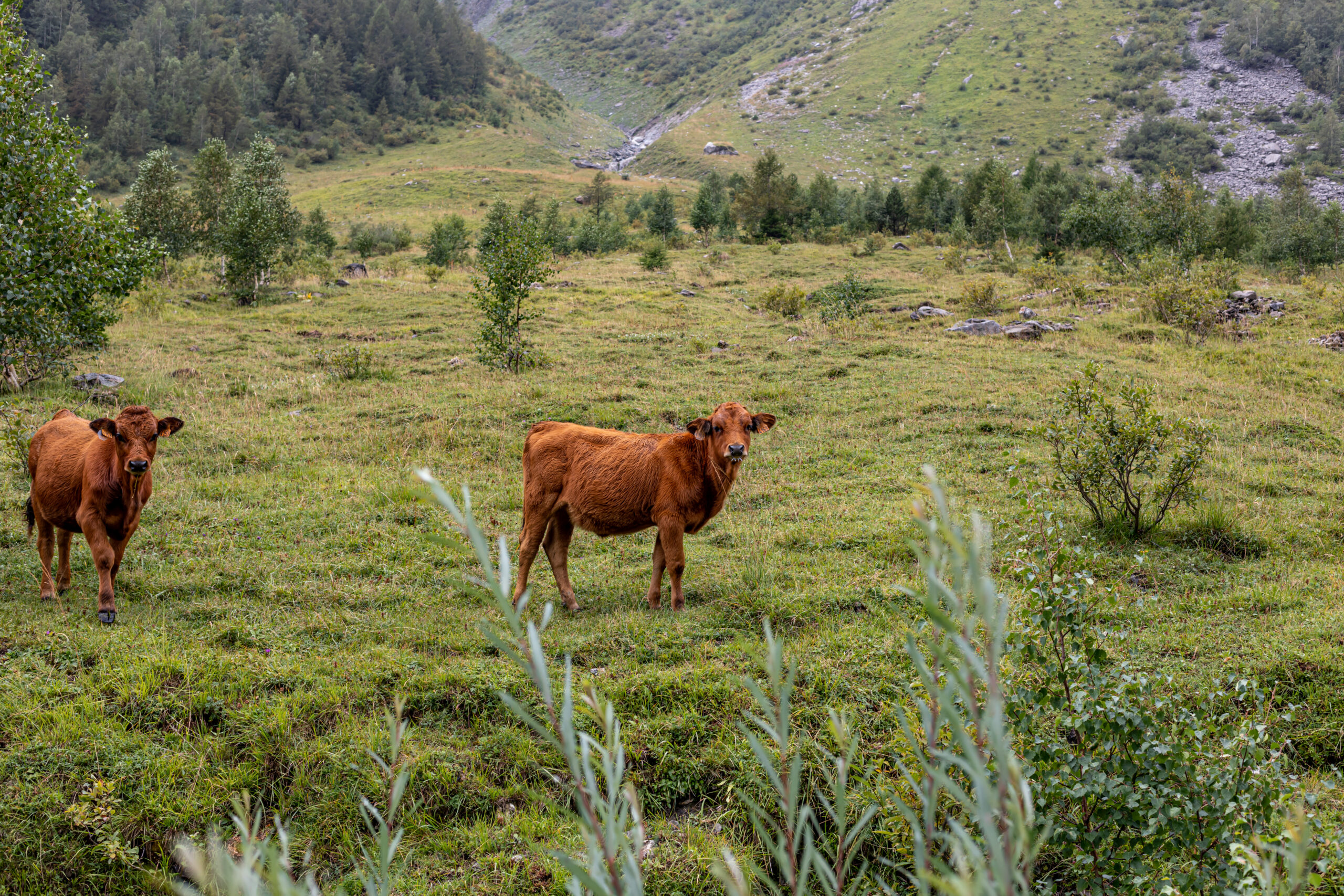 Around Mont Blanc nbu Camille Massida Photography