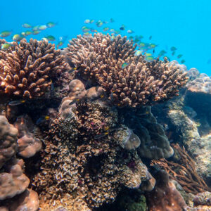 Wonders of our planet, Tales of Djibouti Blue Lagoon, Camille Massida Photography