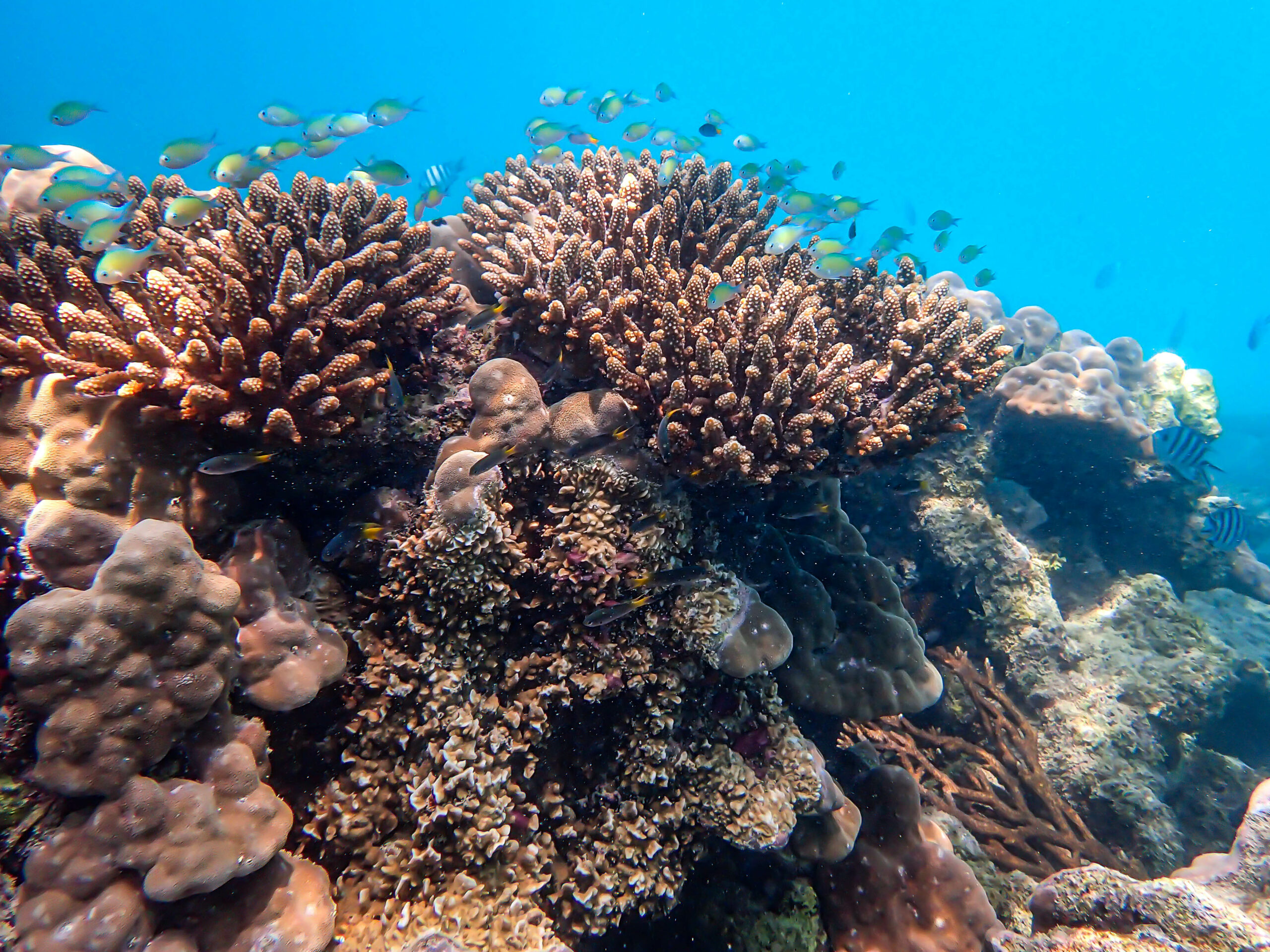 Wonders of our planet, Tales of Djibouti Blue Lagoon, Camille Massida Photography